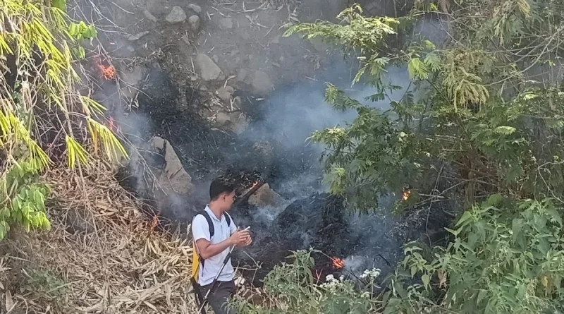 Tim Gabungan Padamkan Kebakaran di Gunung Cikuray dan Guntur
