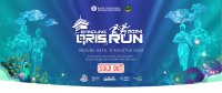 Ratusan Peserta Siap Meramaikan Bandung QRIS RUN 2024, Ini Rute dan Kegiatannya!