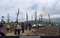 Belasan Hektare Kebun Teh Dirusak, DPR Minta Polisi Usut Dalang Utama