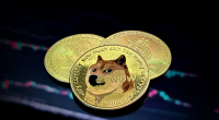 Dogecoin Climbs from Lows: Whale Inflows and Options Boom Hint at More Upside
