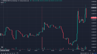 CDPanda Mulai Sering Menggeliat di Dunia Crypto