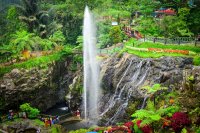 2 Rekomendasi Wisata Banyumas 2026 yang Wajib Dikunjungi