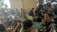 Senator Kok An Diburu, Bos Scam Diguncang