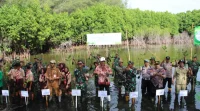 Kodim 0824 Jember dan Forkopimka Puger Hijaukan Pesisir dengan Mangrove