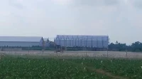 Alih Fungsi Sawah Jadi Gudang di Jambearum Tuai Keluhan Petani