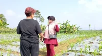 Di Balik Kesuksesan Bisnis Penginapan, Wiwiek Temukan Kecintaan pada Pertanian