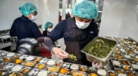 96 Dapur MBG di Magelang Setop Operasi