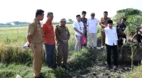 Gus Fawait Pastikan Irigasi dan Optimalisasi Lahan Terus Berjalan