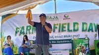 Farmer Field Day di Kepanjen Gumukmas, PT Raja Kenalkan Tiga Varietas Jagung Unggulan, Petani Langsung Berburu Benih