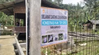 Binaan Star Energy Geothermal, Hikamuci Hasilkan 3.000 Anakan Ikan Torsoro