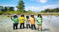 PATS Samosir Siap Dongkrak Panen Petani