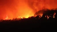 Kebakaran Hutan Andalusia Tewaskan 12 Orang, 23 Masih Hilang