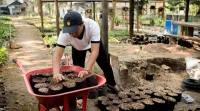 Dari Stek Jadi Hijau, Bibit Tanaman Bandung Diproduksi Sendiri
