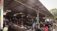 Maggot Gedebage, Mesin Biologis Pengurang Sampah Bandung