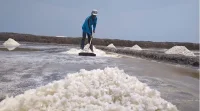 Garam Himalaya vs Laut, Mana Lebih Sehat?