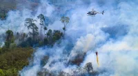 1,05 Juta Liter Air Diguyurkan dari Udara untuk Padamkan Karhutla Kalbar