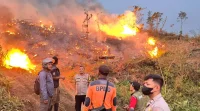 Api Melalap Lahan Perhutani dan Milik Warga di Sukabumi
