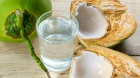 Air Kelapa Bantu Rehidrasi, Ini Waktu Tepat Meminumnya