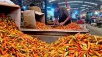 PIHPS: Cabai Rawit Merah Rp45.150, Telur Ayam Rp24.000 per Kg