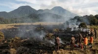 Kebakaran Gunung Gede Pangrango Masuk Hari Keempat, 10 Hektare Terbakar