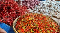 Harga Pangan Hari Ini, Cabai Rawit Tembus Rp61.350/kg