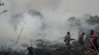 Kasus ISPA di Pontianak Naik 10 Persen Imbas Kabut Asap Karhutla