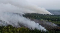 Kenapa Kalimantan Sering Dilanda Karhutla Parah? Ini Kata Peneliti