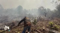 Kabut Asap Karhutla Kalimantan, 108 Sekolah di Malaysia Ditutup
