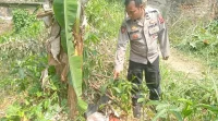 Mayat Bayi Ditemukan Terbungkus Kantong Belanja di Sukabumi