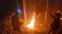 4 Hektar Kebun Jati di Simpenan Terbakar, Diduga Ulah Tangan Jahil