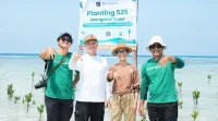 525 Bibit Bakau Ditanam, Pulau Pari Didorong Makin Lestari