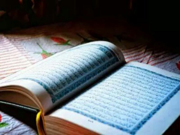 Muncul Kerusuhan Gegara Al Quran Dibakar Kelompok Sayap Kanan Anti-Imigran di Swedia
