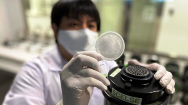 Ilmuwan Singapura Kembangkan Cara Baru untuk Mendeteksi RNA Virus Covid-19 di Udara
