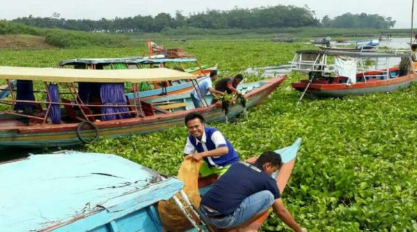 Petani KJA Waduk Cirata Keluhkan Eceng Gondok