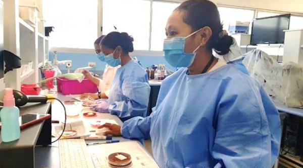 Perangkat Lunak Laboratorium CGM Memodernisasi Layanan Kesehatan di Timor-Leste