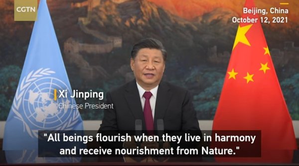 CGTN: Xi Jinping Melansir Rangkaian Kebijakan Baru di COP15 Demi Mewujudkan Tiongkok yang Indah