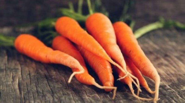 SEHAT: 4 Manfaat Wortel untuk Kesehatan Tubuh
