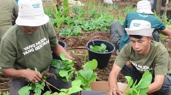 Jaralaba Mengingatkan Ridwan Kamil, Program Petani Milenial Bisa Jadi Batu Sandungan