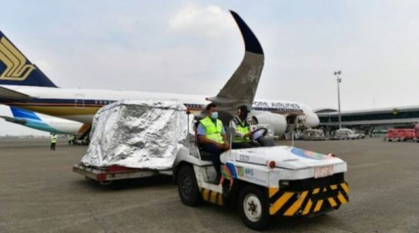 2 Juta Dosis Vaksin Pfizer Tiba di Tanah Air,  Langsung Didistribusikan ke 10 Provinsi