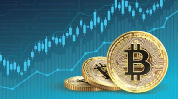 Cryptology Berinvestasi di Crypto Launchpad VLaunch