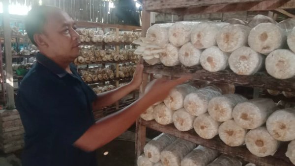 Rofi'i, Mantan Pekerja Migran Sukses Budidaya Jamur dan Pengolahan Makanan Beromset 100 Juta