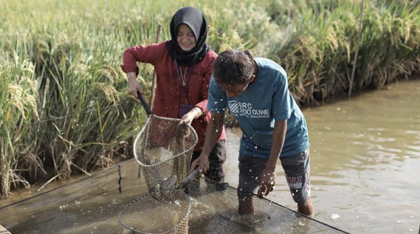 SDM Handal, Kunci Kesuksesan Mina Padi Panembangan