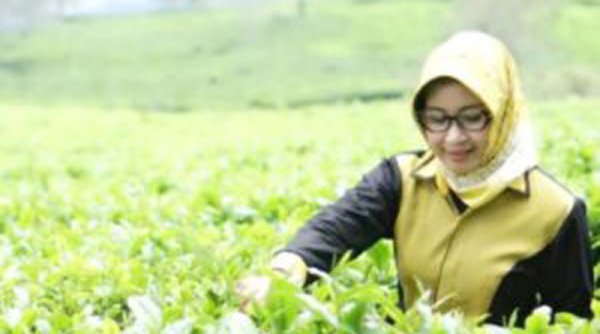 Cucu : Kartu Prakerja Berdampak Positif Mendorong Ketahanan dan Inklusi Keuangan Pasca Covid-19