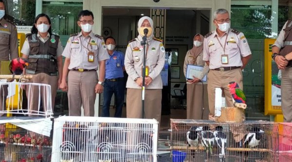 Ratusan Ekor Burung Gagal Diselundupkan dari Timika ke Surabaya