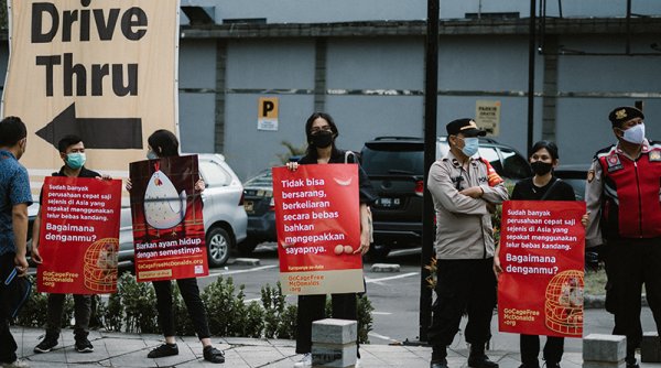 Aktivis se-Asia Menentang Kebijakan McDonald’s atas Penggunaan Telur dari Kandang Baterai yang Kejam