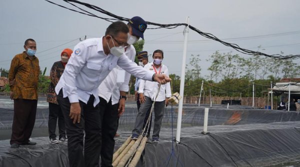 Jamin Kualitas Produk, KKP Fasilitasi Penerbitan Sertifikat CPIB Bagi Supplier/UMKM Bahan Baku Produk Perikanan