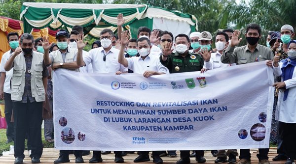 Cegah Kepunahan, KKP-FAO Restocking Puluhan Ribu Ikan Endemik di Kampar