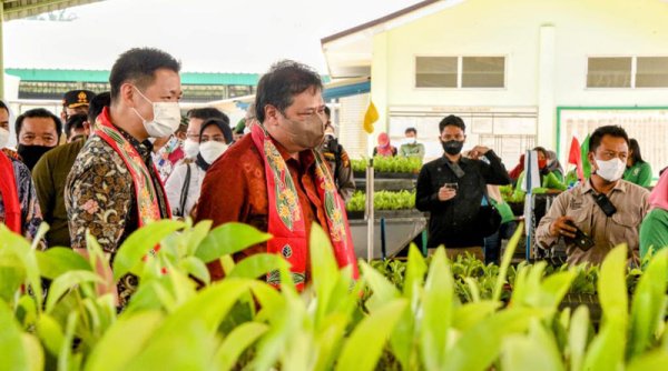 Menko Airlangga Dorong Akselerasi Pertumbuhan Green Economy dan Pengembangan Sustainable Forest Management