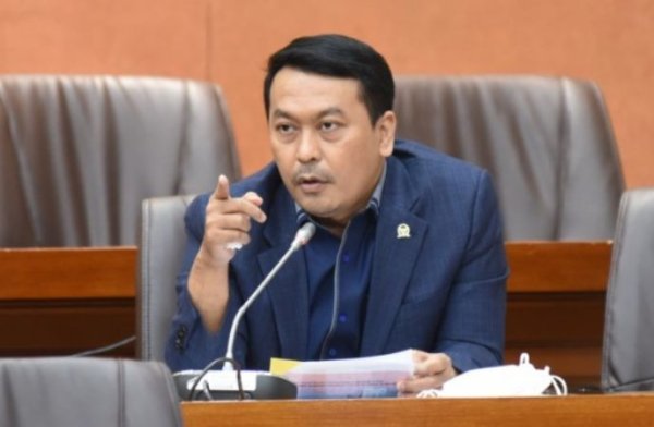 Pemerintah Larang Ekspor CPO, Rudi Hartono: Harga Sawit Anjlok, Petani Jadi Serbasalah
