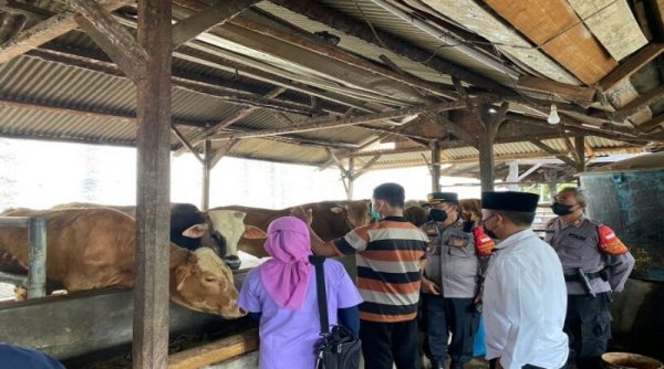 Antisipasi PMK, Polresta Cirebon dan Puskeswan Ciledug Sidak Peternakan